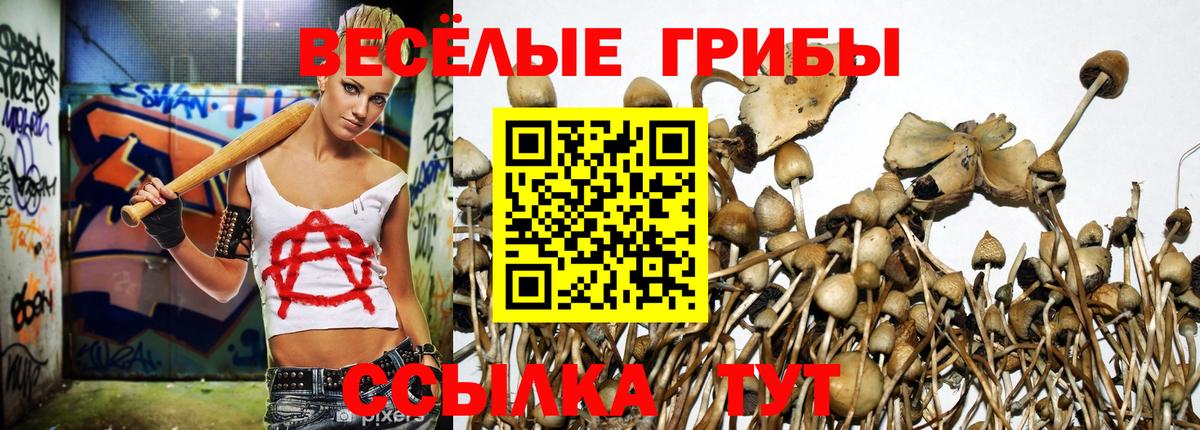 Псилоцибиновые грибы Cubensis  Вход с VPN  Сокол 